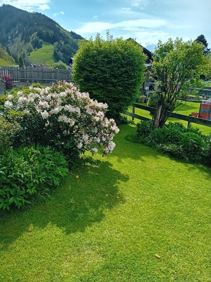 Apartment Auszeit Alpenblick Sommercard Hollersbach im Pinzgau Exterior foto
