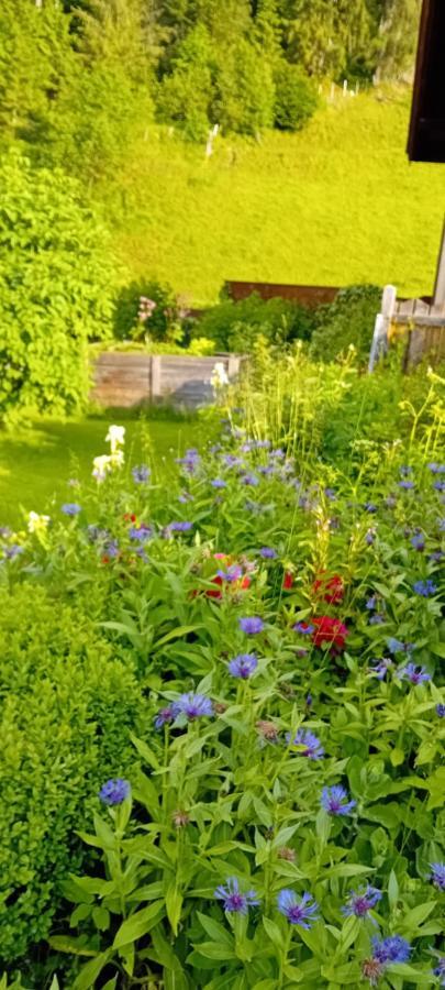 Apartment Auszeit Alpenblick Sommercard Hollersbach im Pinzgau Exterior foto
